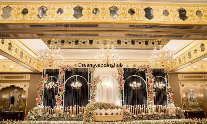 Peehu Events Mickey mouse Bouncing  cold fire Alwar Events